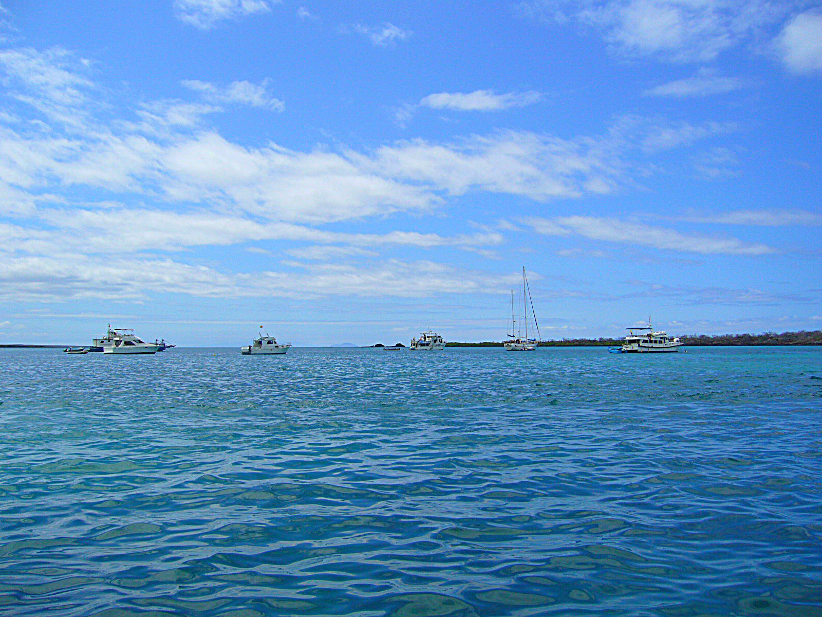 エクアドルのガラパゴス諸島のクルーズ船からの海の風景