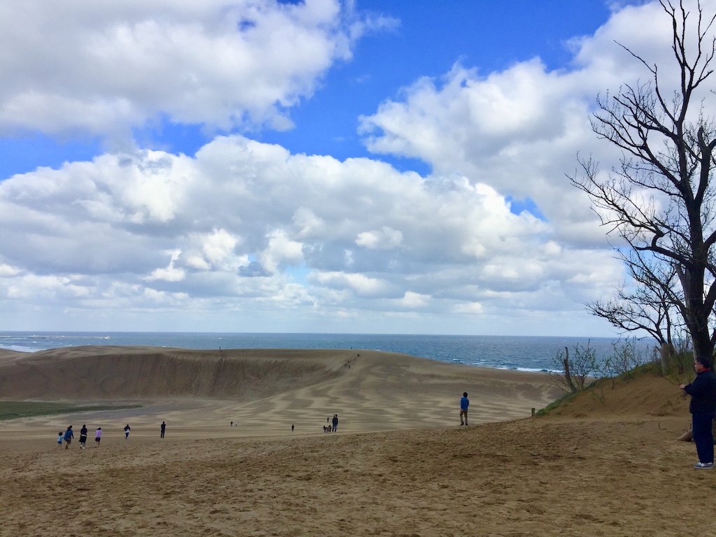 鳥取県の鳥取砂丘の風景