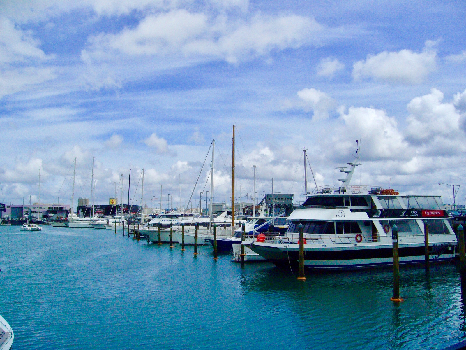 ニュージーランドの帆の街オークランドの港