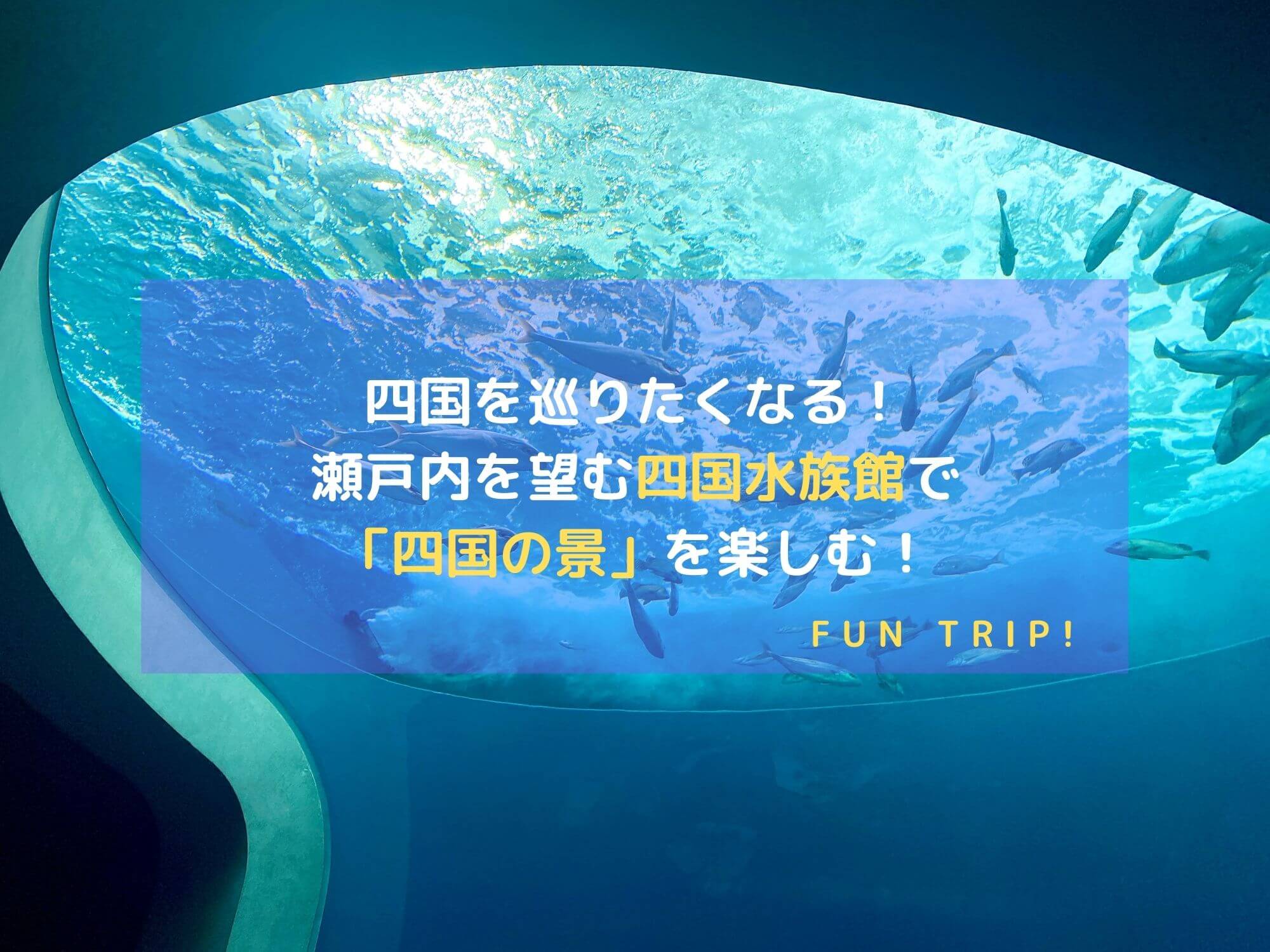 香川県宇多津の四国水族館のアイキャッチ