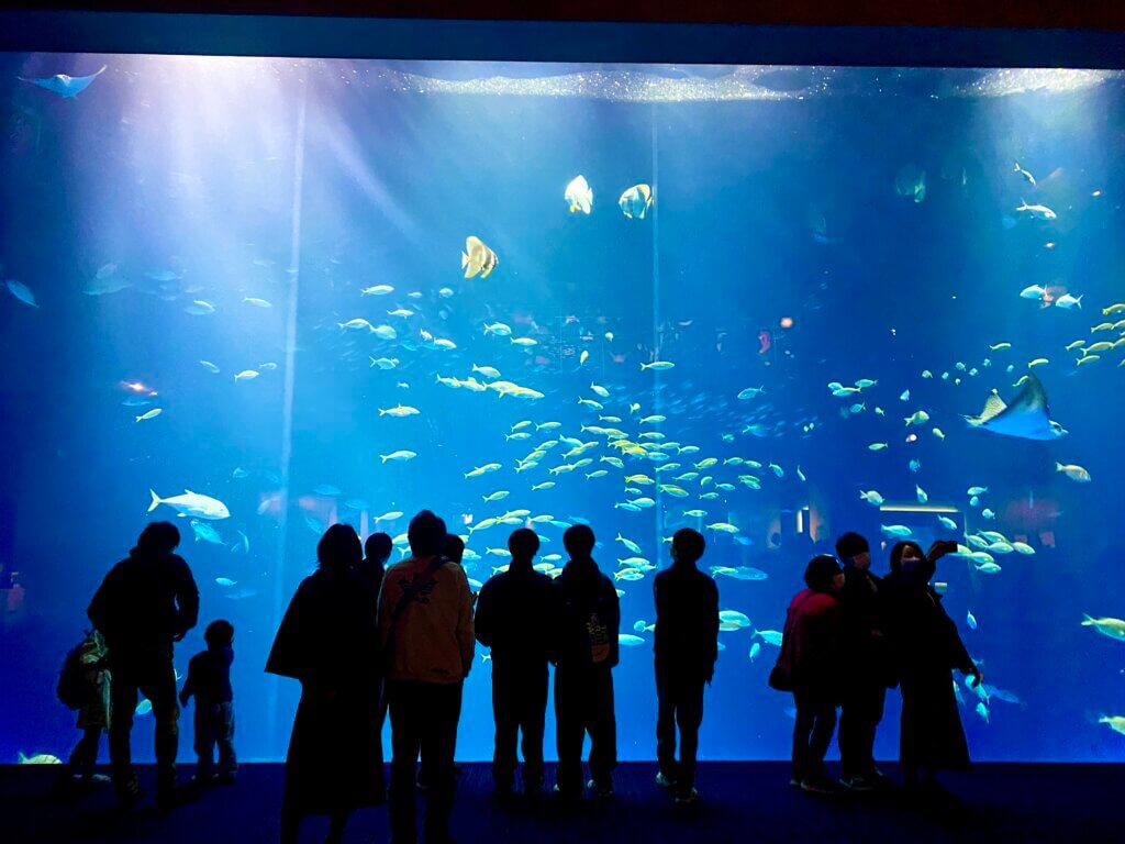 香川県宇多津の四国水族館：綿津見の景