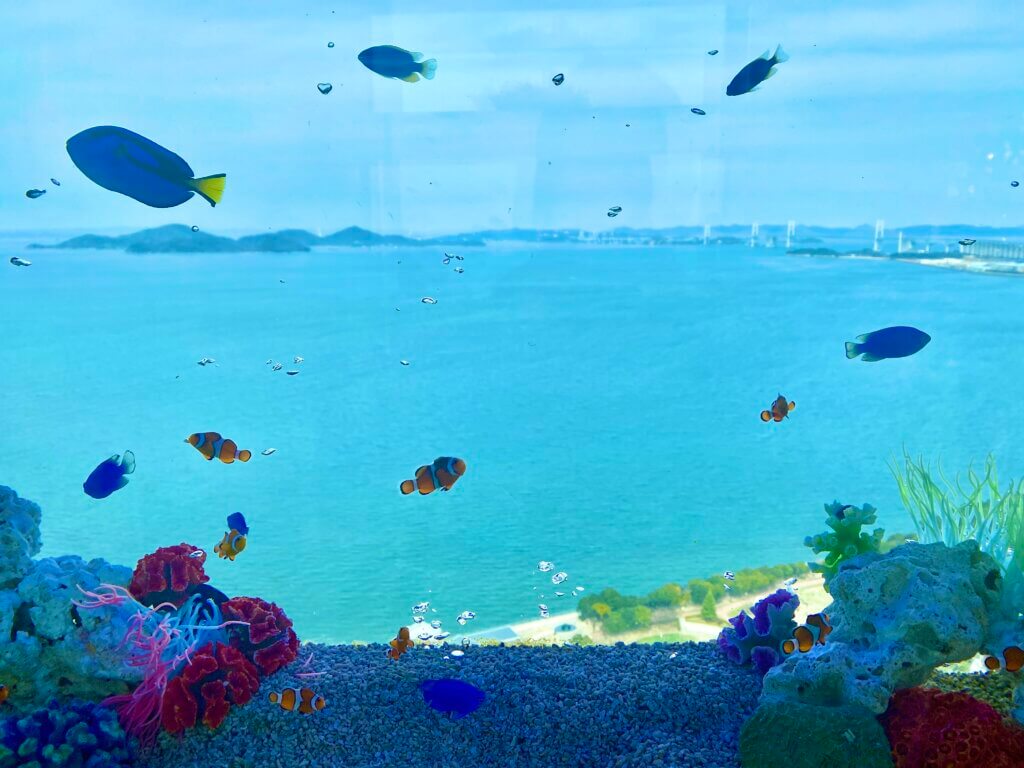 香川県宇多津のゴールドタワー：天空のアクアリウム「ソラキン」空を泳ぐ熱帯魚_アイキャッチ