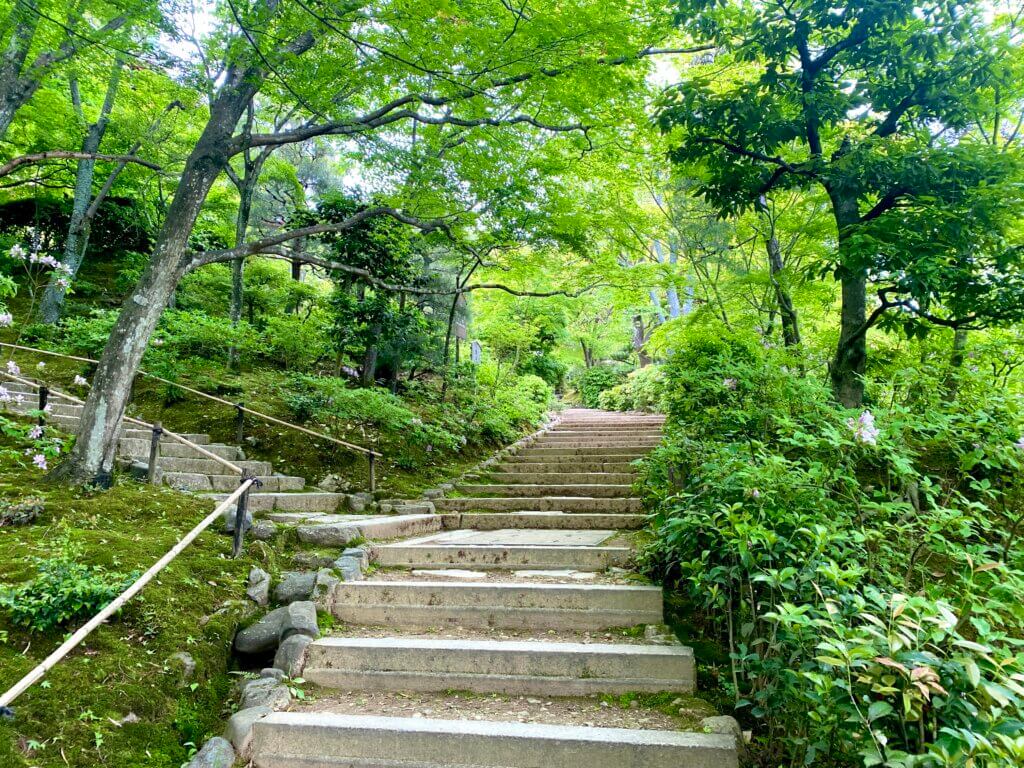 京都府嵐山：常寂光寺の青紅葉の階段