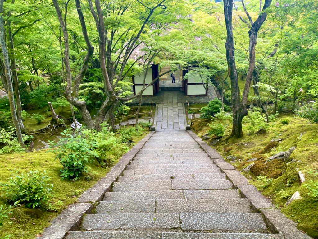 京都府嵐山：常寂光寺の階段からの風景