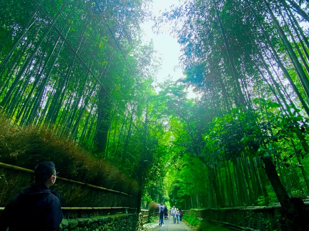 京都嵐山：竹林の小径