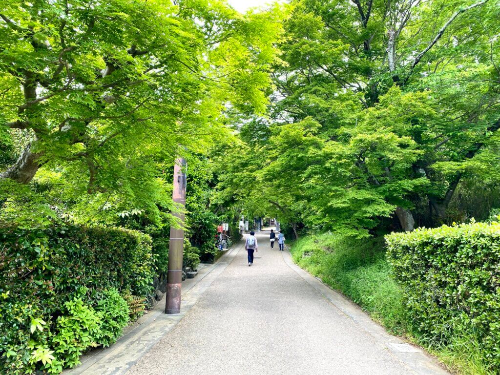 京都嵐山：竹林の小径周辺