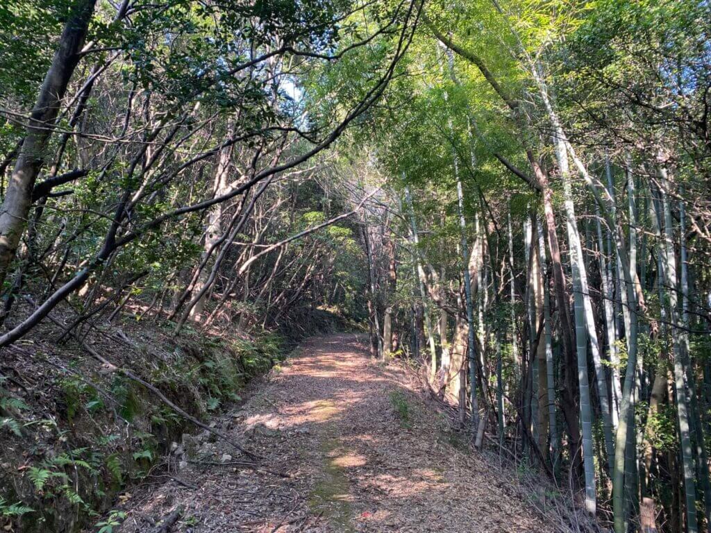 広島県福山市：仙酔島の大弥山へいく登山道